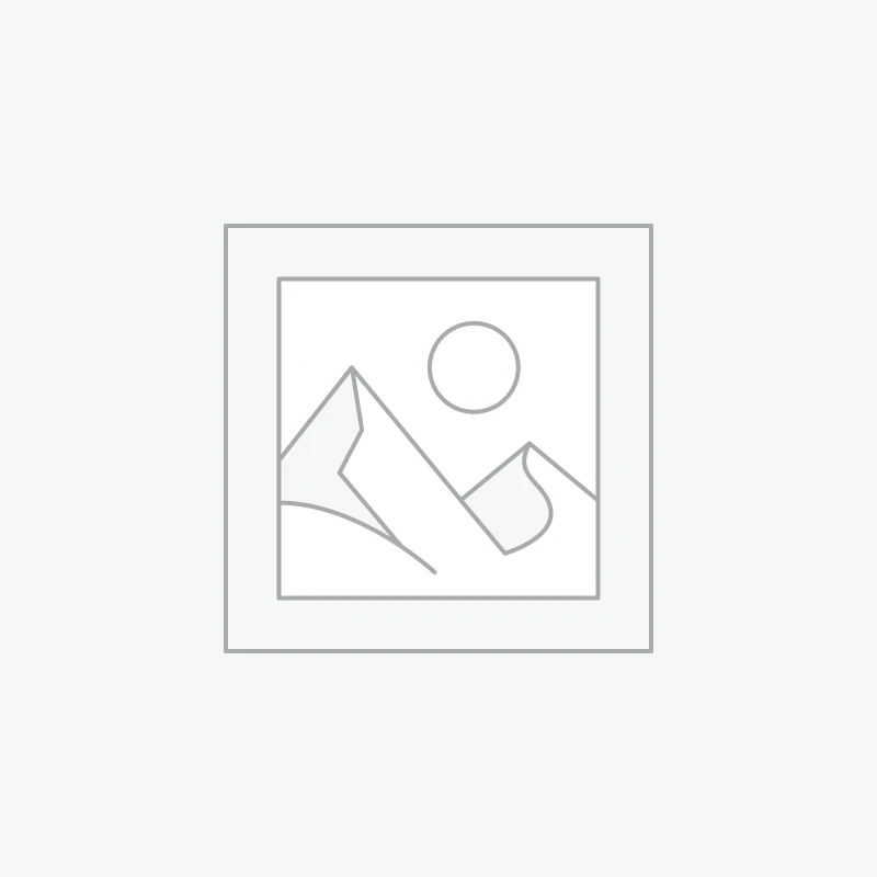 Borsa Notebook